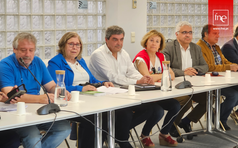 FNE: "Vamos ter um diploma que a tutela chama de acelerador de carreiras, mas que vai deixar muitos professores de fora"