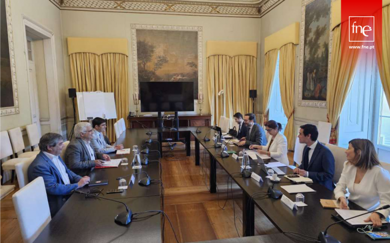 FNE reuniu com Ministério da Ciência, Tecnologia e Ensino Superior