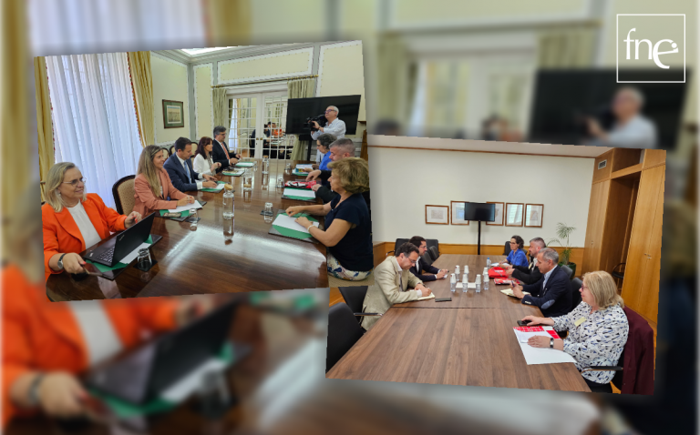 FNE reuniu com PSD e PS para apresentar linha de ação facebook sharing buttontwitter sharing buttonemail sharing buttonprint sharing button