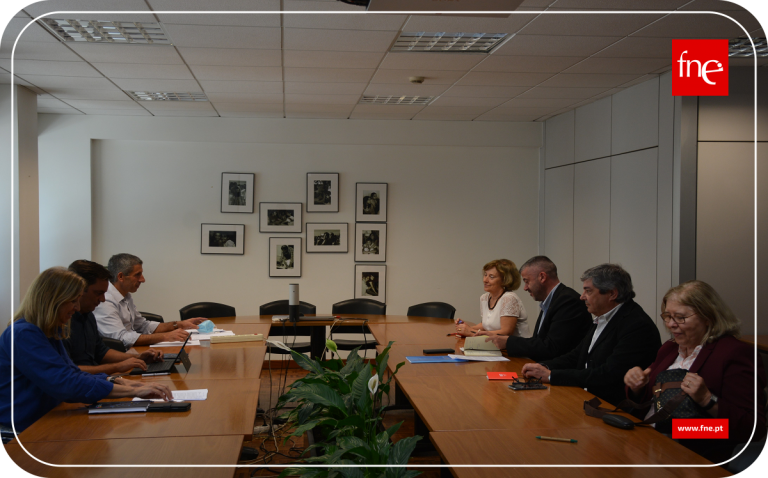 DGE ouviu contributos da FNE para Projeto de Calendário Escolar 2022-2023