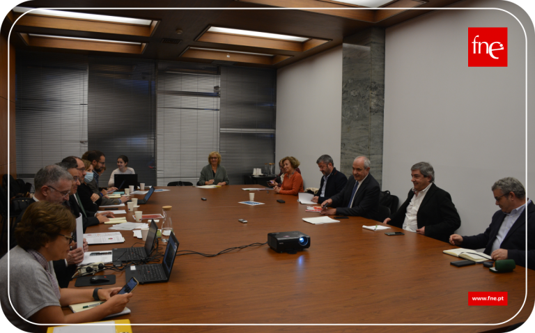 FNE defende que quadros de escola são a única garantia de estabilidade dos professores