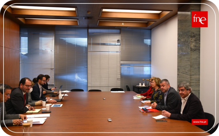 FNE insistiu no fim das vagas de acesso aos 5º e 7º escalões da carreira para todos os docentes